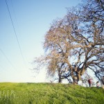 Roseville Family and Children’s Photographer| Happiness is…