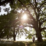 International, Northern California Family Photographer| Three’s Company