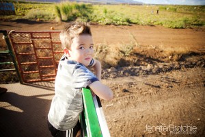 aloun farms hay ride pumpkin in kapolei picture