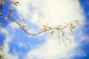 fine art photography by oahu family photographer jennifer brotchie