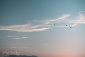 sky and bird fine art photography hawaii north shore oahu