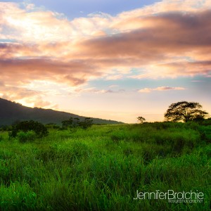 fine art photography on etsy by hawaii photographer jennifer brotchie