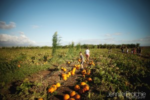 pumpkin patch aloun farm kids photos