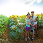 Pumpkin Patching at Aloun Farms