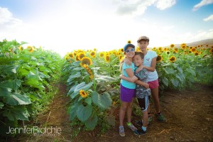 Sunflower garden at the pumpkin patch at Kapolei Aloun Farms photo