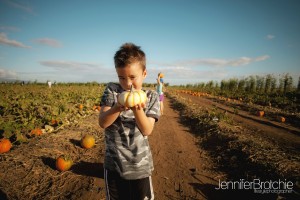 pumpkin picking children oahu photo