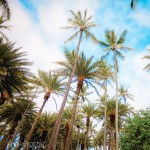 10 Tips for your Beach Photo Shoot on Oahu with Yours Truly!