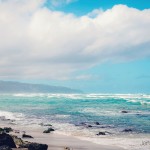 Turtle Beach aka Laniakea Beach, Oahu