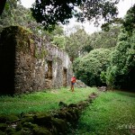 Exploring with Film: Kaniakapupu Ruins