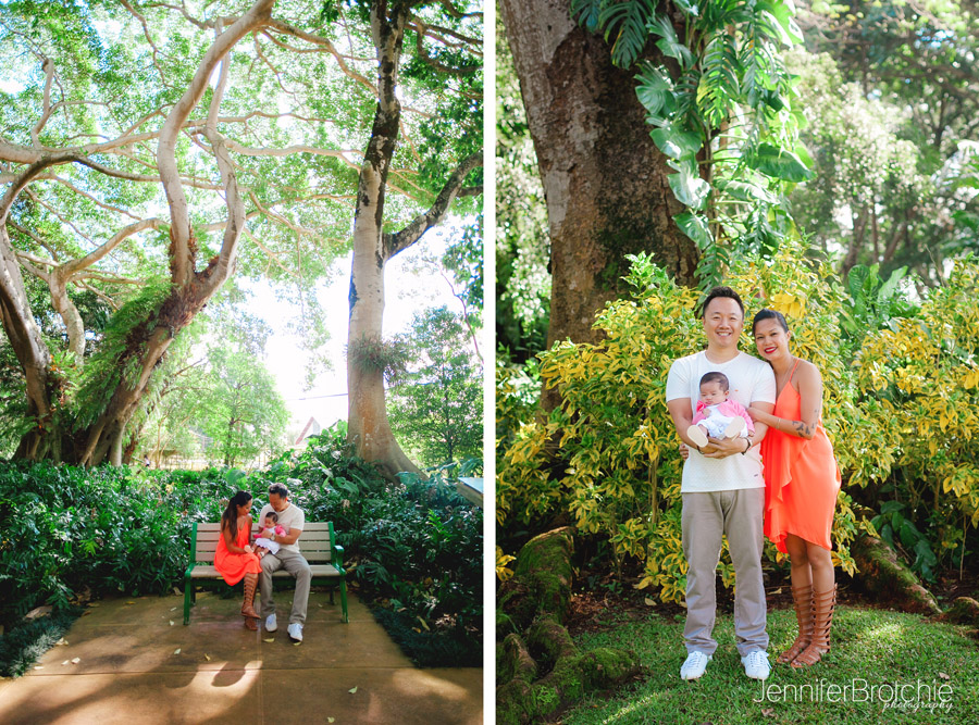 Wahiawa Botanical Gardens Oahu | Fasci Garden