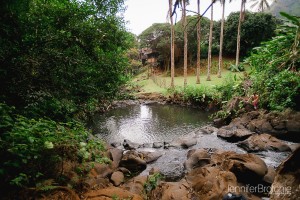 Oahu Hikes, Easy Hikes on Oahu, Hawaii. Photographer at Disney Aulani, Turtle Bay Resort Beach Portraits, Waikiki Photo Shoots, Things to Do on Oahu, Easy Nature Hikes with Kids