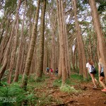 Hiking with Kids on the Judd Trail on Oahu